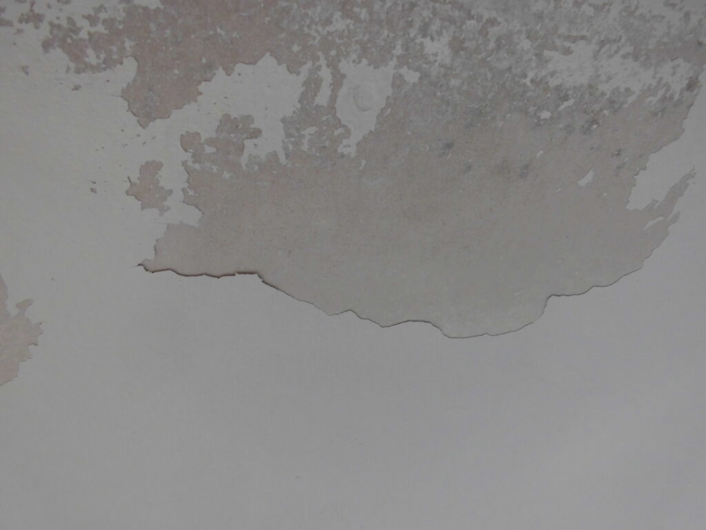 2014年3月12日　栄区公田町：軒の塗膜剥離