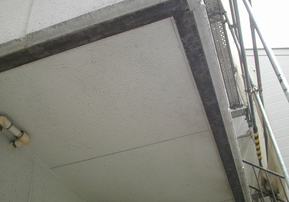 ALCの構造