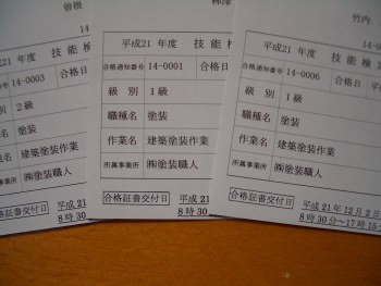 CIMG3308.jpg