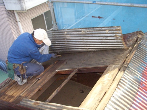 CIMG7176.JPG