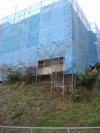 CIMG8375.jpg