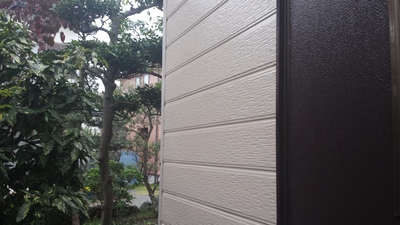 2013-11-03 15.49.19.jpg