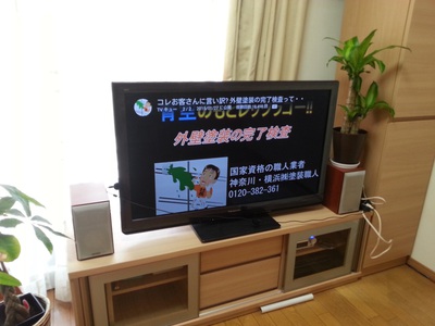 20150801_121216.jpg