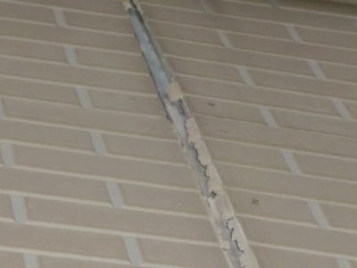 meji.jpg