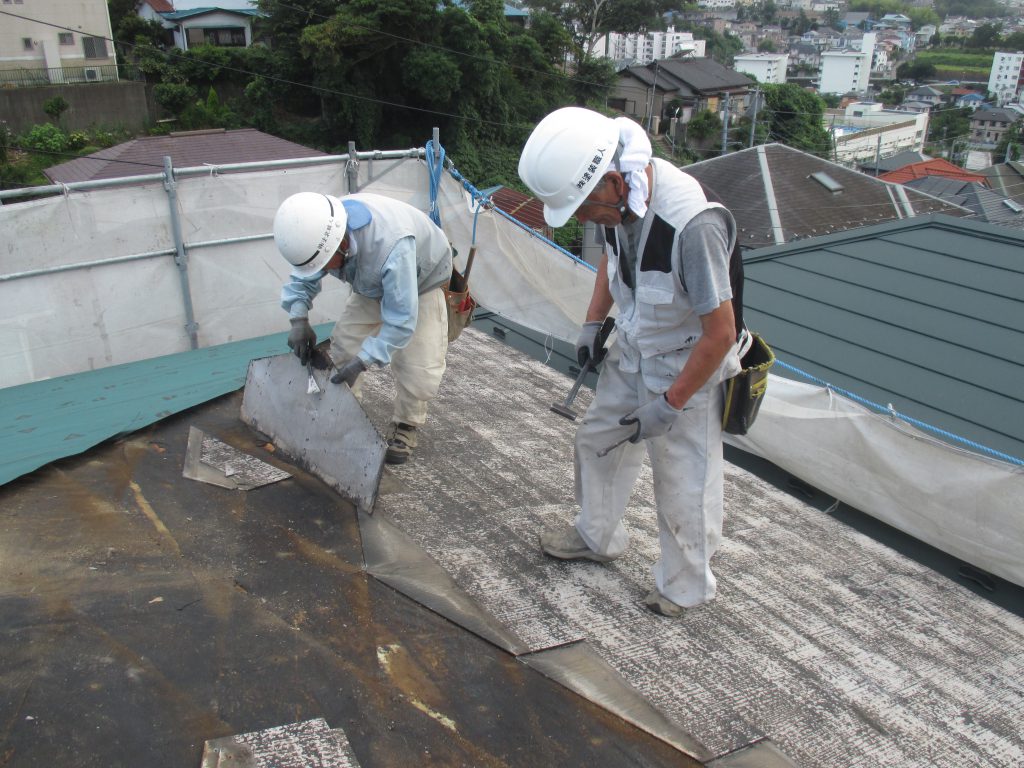 ｺﾛﾆｱﾙ剥がし (11)
