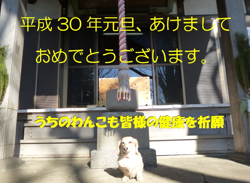2018 ルウ