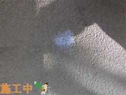 CIMG2382