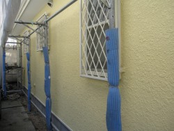 IMG_0063