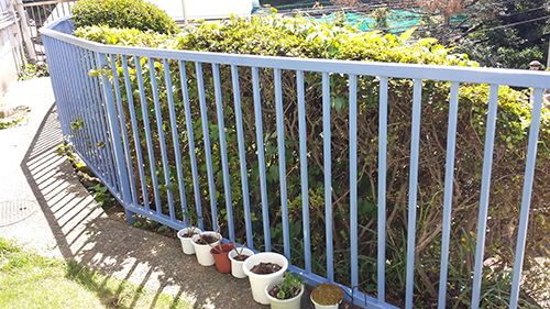 2013年9月3日　横浜市保土ヶ谷区新井町にて鉄部塗装：フェンス