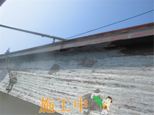 CIMG0694