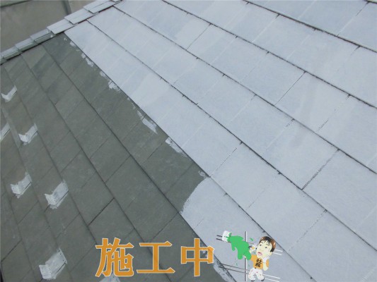 CIMG1324