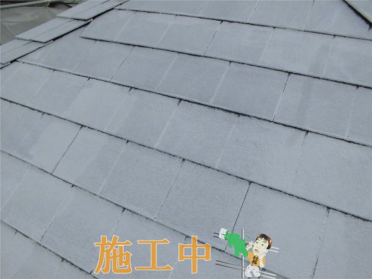CIMG1325