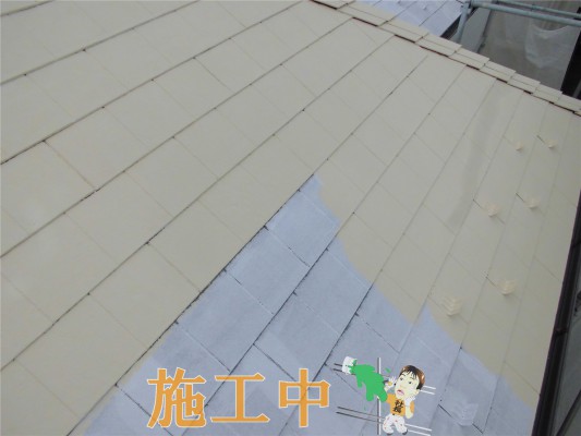 CIMG1327