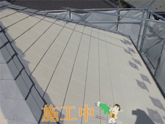 CIMG1329
