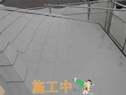 CIMG1330