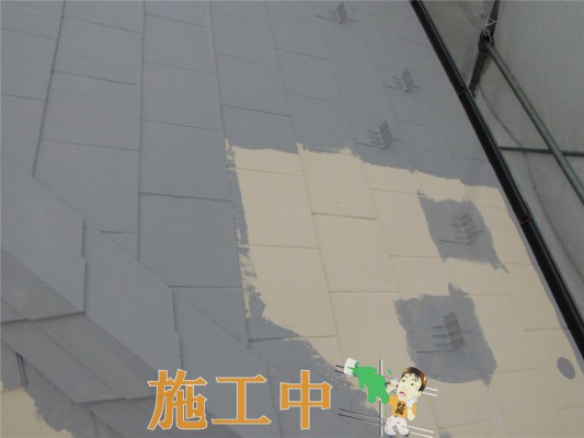 CIMG1331
