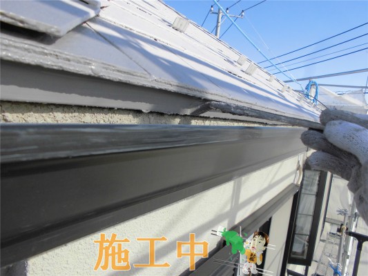 CIMG1333