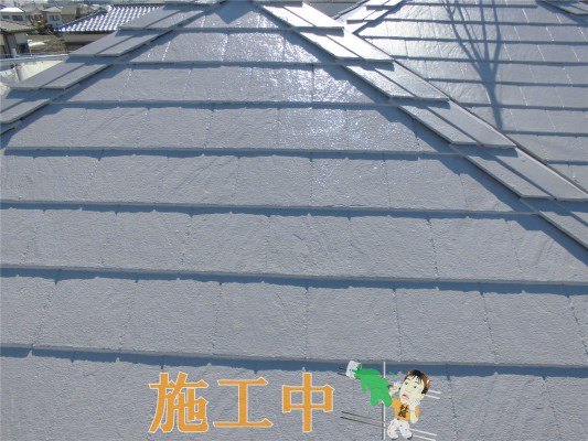 CIMG1336