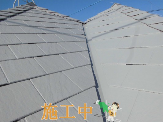 CIMG1341