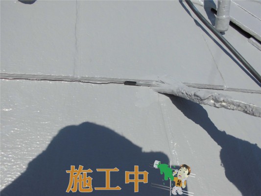 CIMG1342