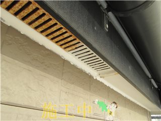 IMG_1940