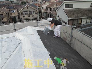 IMG_1943
