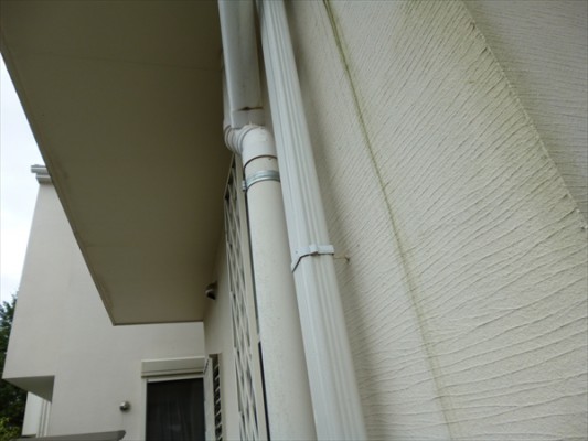 P1200813