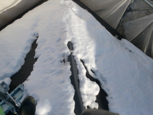 2014年2月17日　戸塚区南舞岡：屋根の積雪　