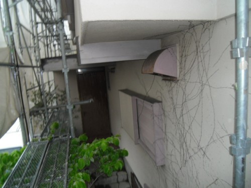 横浜市磯子区：ツタの這っている外壁