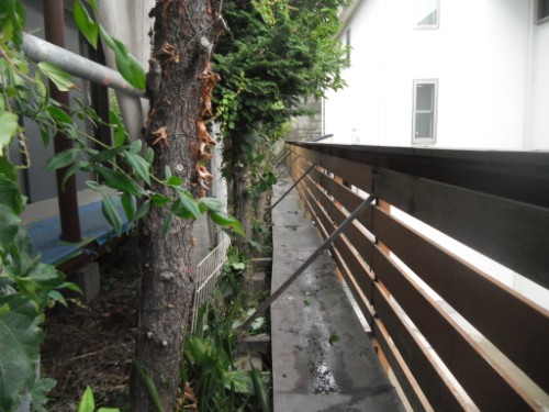 横浜市磯子区：植木枝切り後