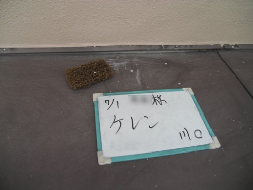 横浜市磯子区：庇ケレン
