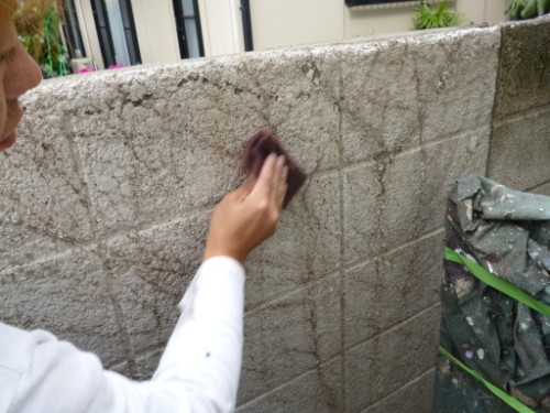 東京都大田区：ツタの根をたわしで除去