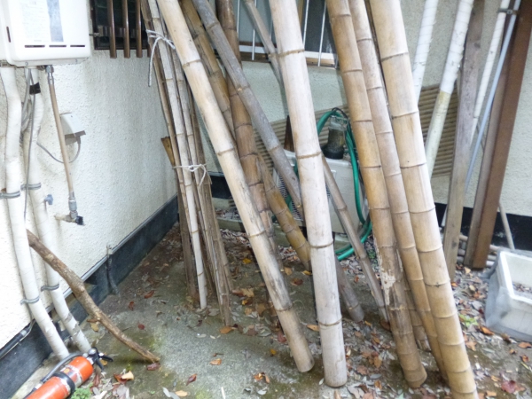 外壁に建てかけてある数本の竹