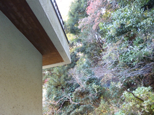 家と隣り合わせの山