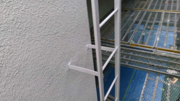 屋上に上がるはしごです。