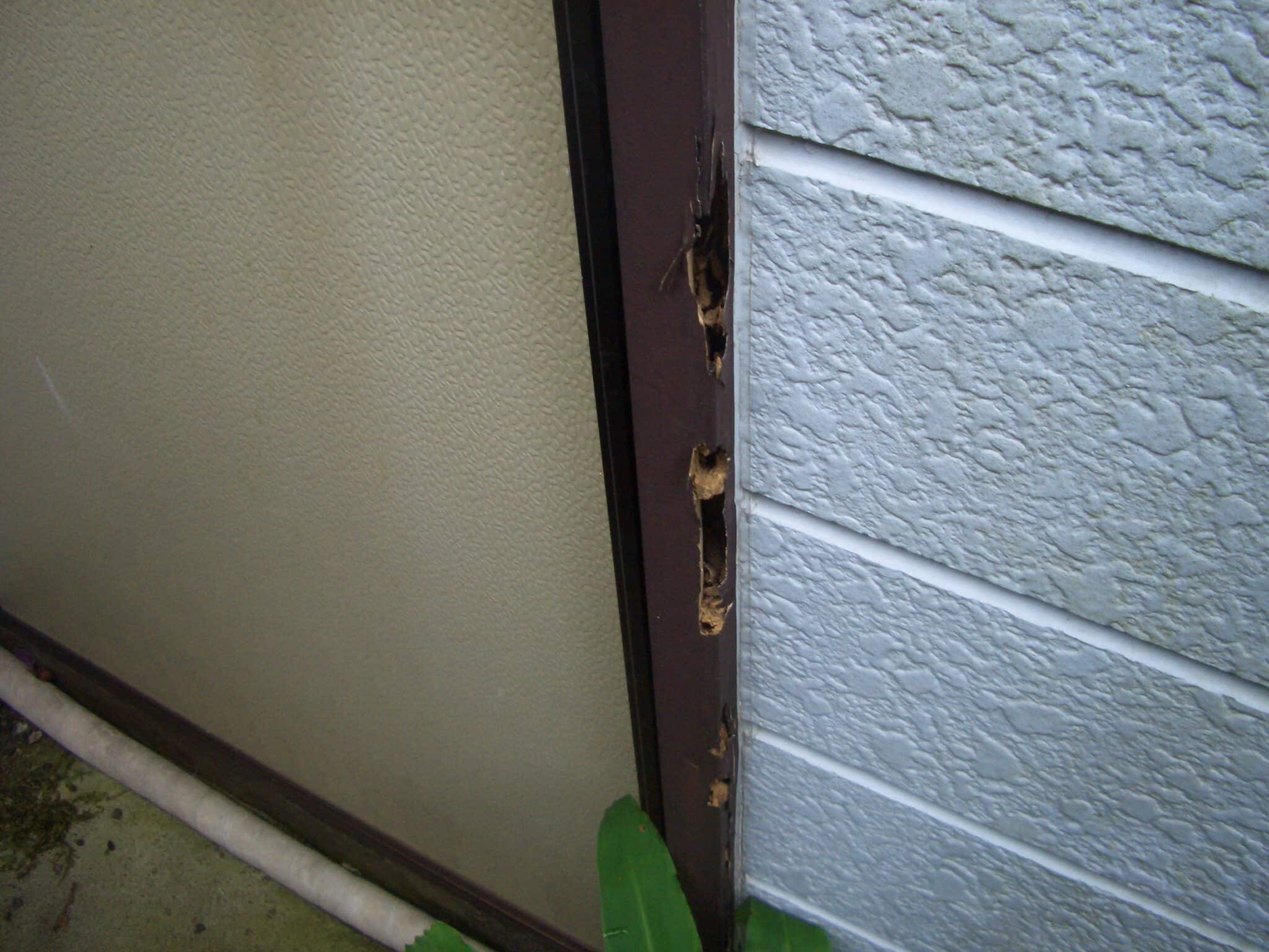 シロアリ被害の木部