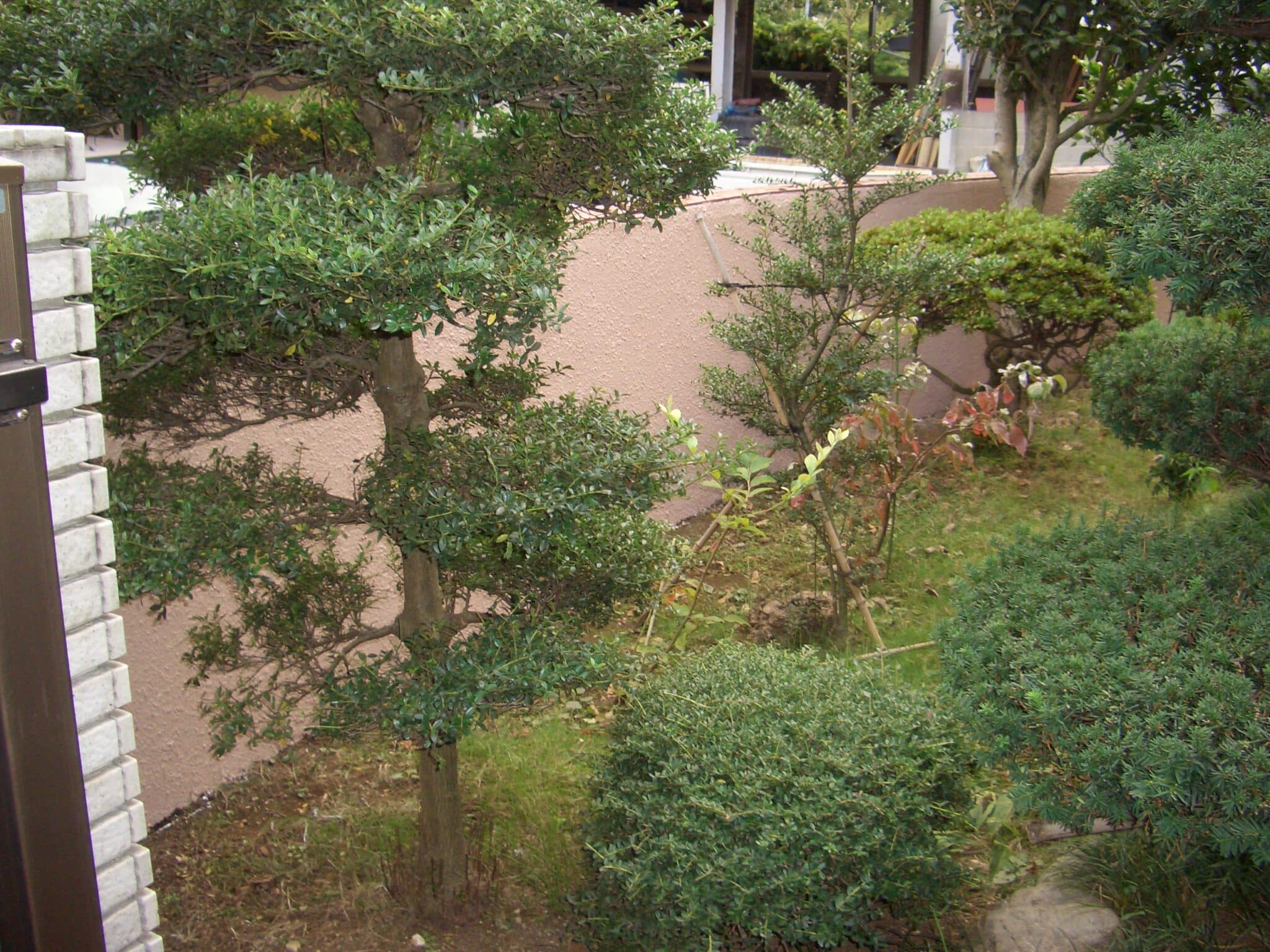 庭と門塀