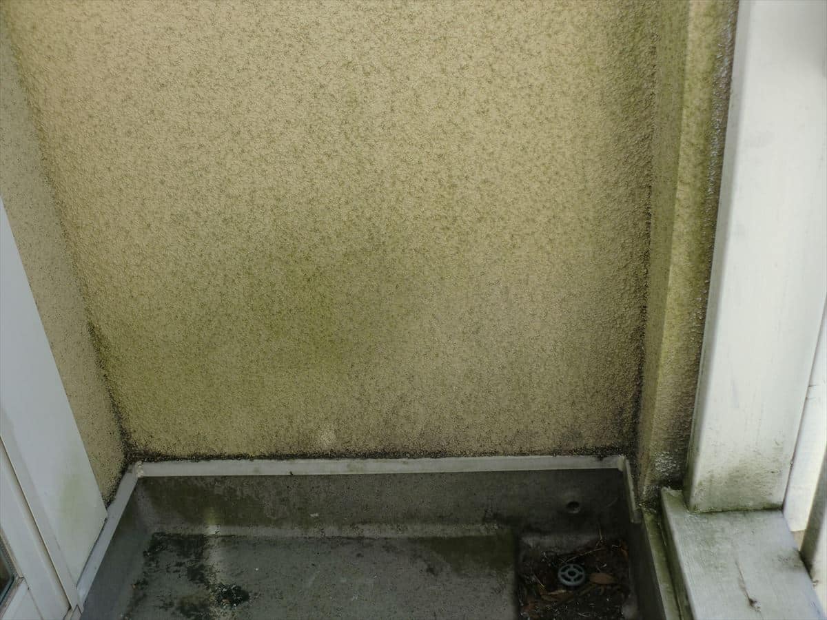 外壁塗装　見積もり