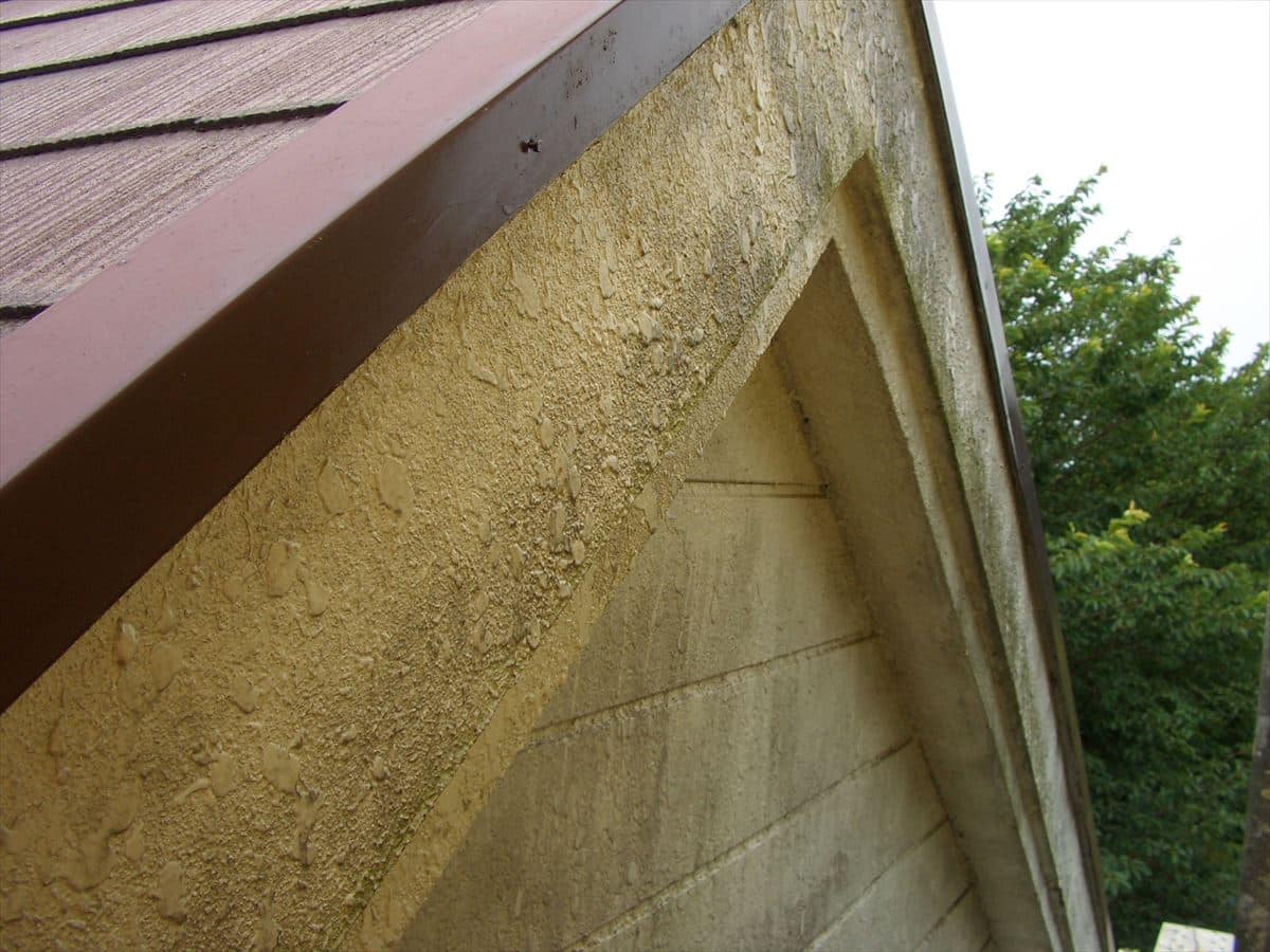 外壁　塗装　カビ